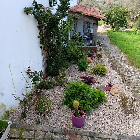 Domaine De La Quinta Fenix A Casinha 게스트하우스 3*